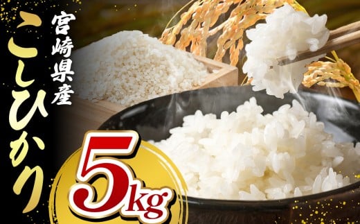 令和7年産 こしひかり 5kg （白米） 宮崎県産 | 米 こめ お米 おこめ 精米 白米 宮崎県 五ヶ瀬町