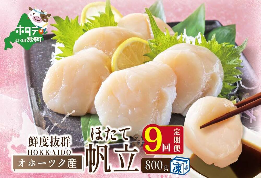 【毎月9か月定期便】オホーツク 産 ホタテ 大 冷凍 800g× 9ヵ月 【全 9回 】 水産事業者支援