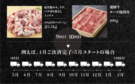 《定期便12回》飛騨牛＆結旨豚　食べきりタイプ スペシャル定期便 12か月 1年間 焼肉 サーロイン ロース モモ すき焼き しゃぶしゃぶ 牛肉 豚肉 国産 焼き肉 赤身 A4 A5 豚肉 バラ ブラ