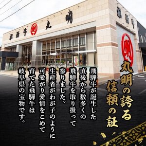 飛騨牛5等級　ヒレ　約150g×2枚【配送不可地域：離島】【1683463】