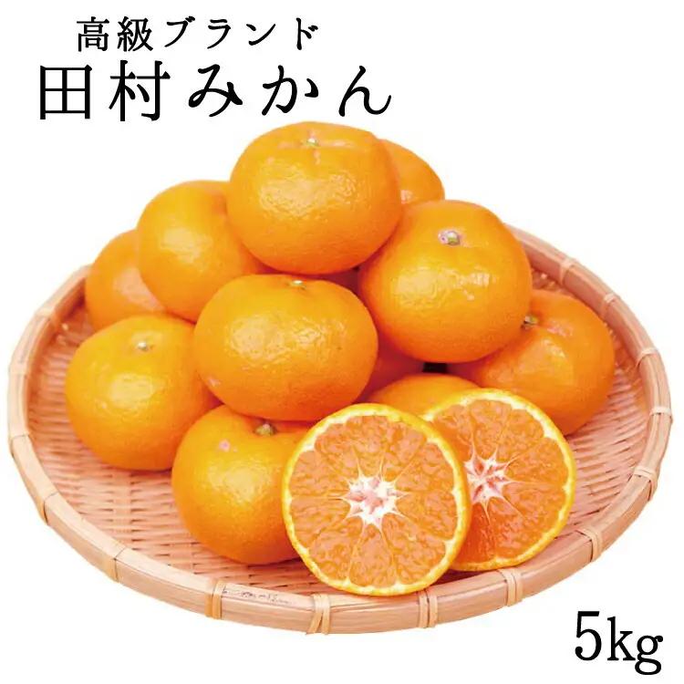 田村みかん 5kg【予約】みかん 【uot504B】