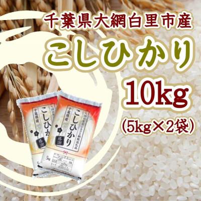 ふるさと納税 大網白里市 令和6年産千葉県産コシヒカリ 精米 10kg (5kg×2袋)