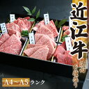 【ふるさと納税】 近江牛 焼肉 特上 盛り合わせ 480g 冷凍 シャトーブリアン (発送時期が選べる サーロイン フィレ ヘレ 希少部位 ミスジ イチボ 赤身 和牛 黒毛和牛 ブランド 牛肉 贈り物 ギフト 国産 滋賀県 竜王町 岡喜 神戸牛 松阪牛 に並ぶ 日本三大和牛 父の日 )