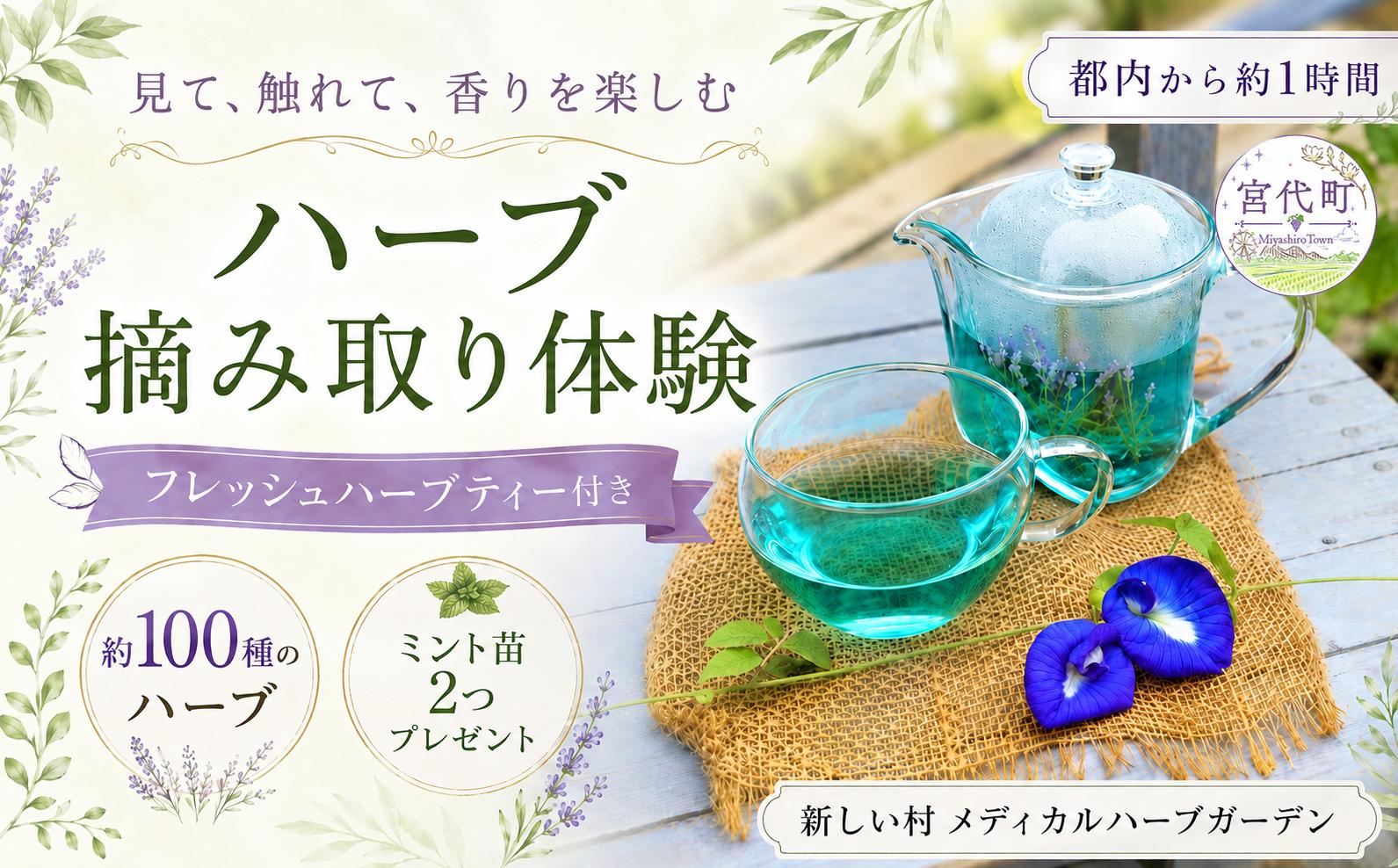 
                  【体験型】ハーブ摘み取り体験＆ハーブティー ｜ イベント チケット ハーブティー ハーブ 体験チケット フレッシュハーブ 埼玉県 宮代町 新しい村 メディカルハーブガーデン ミント苗 お茶類 飲料 体験型 体験 農体験 観光チケット 自然体験 香り リラックス アロマテラピー ミント ラベンダー ローズマリー カモミール ハーブ園 ガーデン散策 摘み取り 埼玉観光 東武動物公園駅 田園風景
                