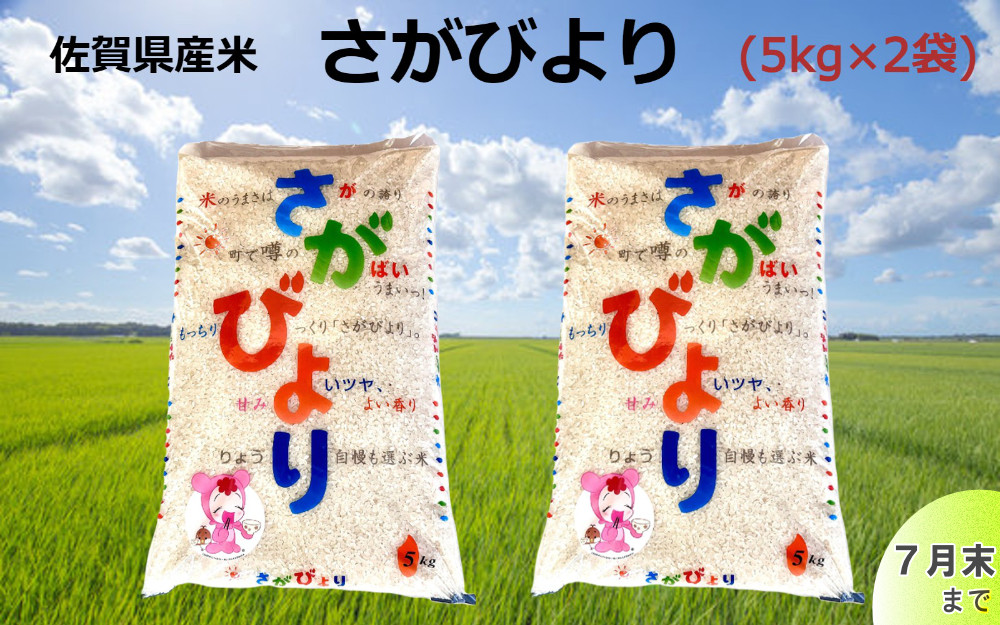 
            佐賀県産米さがびより(5kg×2袋)
          