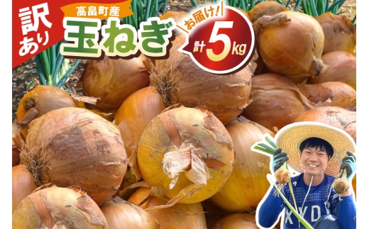 【期間限定発送】 訳あり 玉ねぎ 5kg 【期間限定発送】[農家の店しゃんくすろーど 山形県 高畠町 tk06bcz250004] 玉葱 5キロ tamanegi たまねぎ 野菜