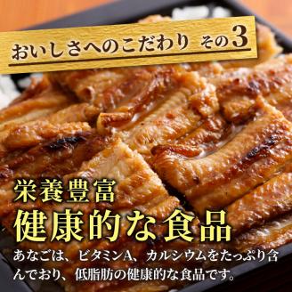 焼あなご（3～5串）《 魚介類 アナゴ 穴子 あなご 焼きあなご 海鮮 天然 ふるさと納税 あなご 加古川市 パリパリ 美味しい 穴子丼 串焼き お取り寄せ 人気 ギフト プレゼント 送料無料 おすす