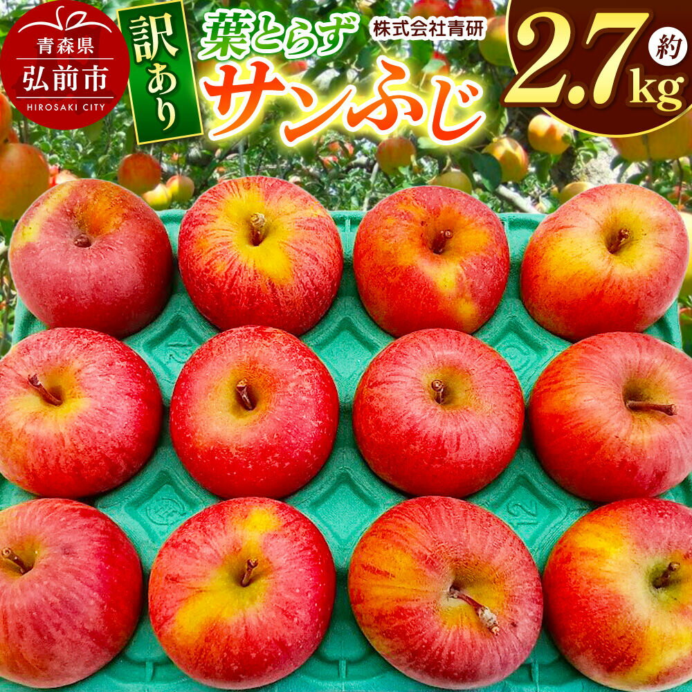 【ふるさと納税】【26年4月〜5月クール便発送】りんご 葉とらず サンふじ【訳あり】約2.7kg【スマートフレッシュ加工】青森 果物 フルーツ 林檎 リンゴ くだもの 不揃い 規格外 [アップル 産地直送 クール便 スマートフレッシュ 青森県 弘前市]