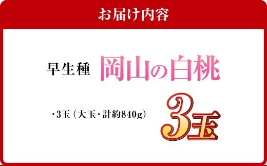 岡山の白桃 （大玉 ／ 早生種） 3玉 （合計約840g