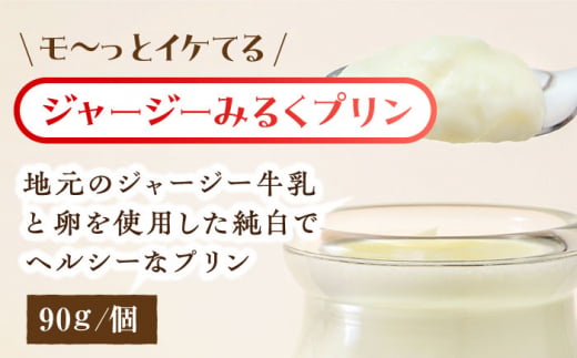 シュシュの種々様々な11種のプリン12個セット / プリン ぷりん 洋菓子 お菓子 デザート / 大村市 / おおむら夢ファームシュシュ [ACAA277]
