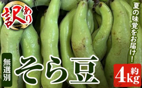 ＜2025年4月上旬以降発送予定＞＜訳あり＞鹿児島県産 そら豆(約4kg) 国産 野菜 そら豆 ソラマメ おつまみ サラダ 炒め物 訳アリ サイズ混合 ソラ豆 鞘つき さやつき【松永青果】a-12-287-z