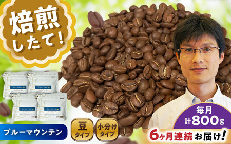 【全6回定期便】ブルーマウンテンNo.1　コーヒー豆　200g×4個 (豆)  / コーヒー  ドリップ  豆 / 瀬戸市 / Ｃｏｆｆｅｅ　ＳＡＫＵＲＡ[BBAB084]
