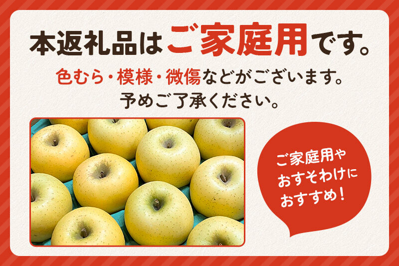 【先行受付】1月中旬より発送 パリパリ食感シナノゴールド ご家庭用 約5kg（14～23玉前後） [先行予約 しなのごーるど 林檎 りんご リンゴ 家庭用 不揃い おまかせ 【りんご】特集]