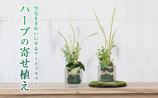 【空気をきれいにするアートフラワー】ハーブの寄せ植え インテリア 空気清浄  浄化 除菌 消臭 花 フラワー インテリア オブジェ ギフト プレゼント 贈り物  記念日 あとりえヒロ 岩手県 北上市 C0572