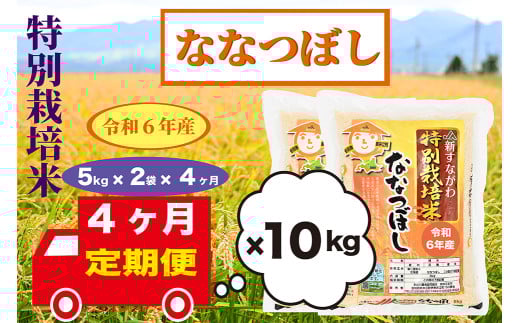 【定期便4回】北海道奈井江町　特別栽培米　ななつぼし　10kg