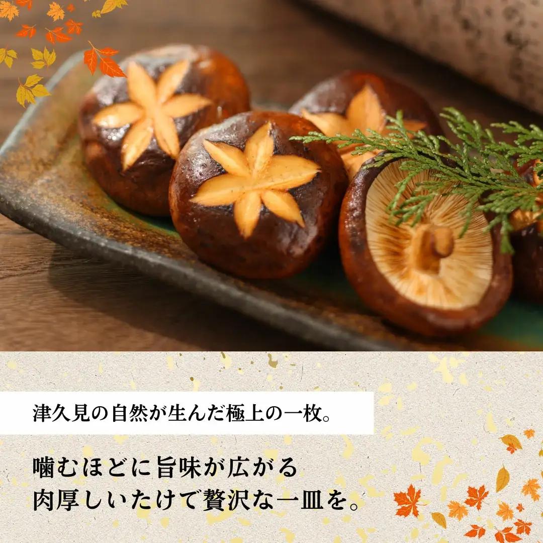 椎茸 大分県産 肉厚ステーキ 乾燥椎茸 15g×3袋 | 津久見市