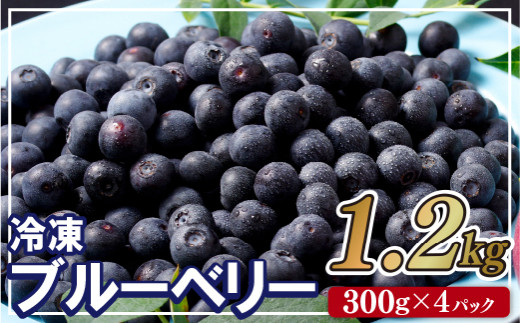 
                  【 数量限定 】 ブルーベリー  ｢ あいあいの雫 ｣  1.2kg  ( 300g × 4P )  産地直送 国産 冷凍 小分け 大粒 果物 ベリー フルーツ 健康 食品 おやつ 加工 お菓子 製菓 アイス シャーベット ジャム ソース スムージー におすすめ 長崎県 佐世保市
                