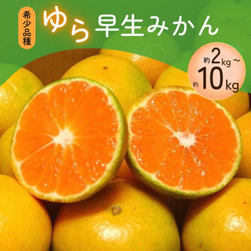 【ふるさと納税】 《 額田農園限定レビューキャンペーン対象 》【2025年秋頃発送予約分】 ＼光センサー選別／＼農家直送/甘くて濃厚！希少品種 ご家庭用 ゆら早生みかん 約2kg〜10kg サイズ混合 有機質肥料100% ※2025年10月上旬より順次発送予定（お届け日指定不可）