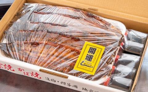 うなぎのかば焼き5尾　国産うなぎ 『お食事処 藤うなぎ』<4.2-2>