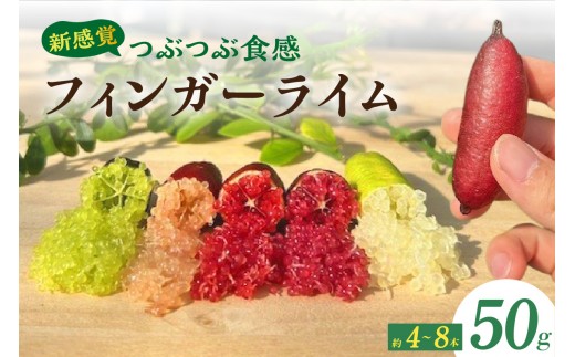 新感覚つぶつぶ食感！フィンガーライム　50ｇ（約4～8本）｜フルーツ 果物 柑橘