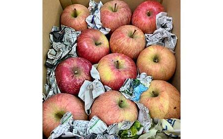 令和8年産 山形県産 サンふじりんご＜訳あり＞ 約5kg 13玉～25玉 数量限定 林檎 リンゴ フルーツ 果物 くだもの 家庭用 F4A-1004