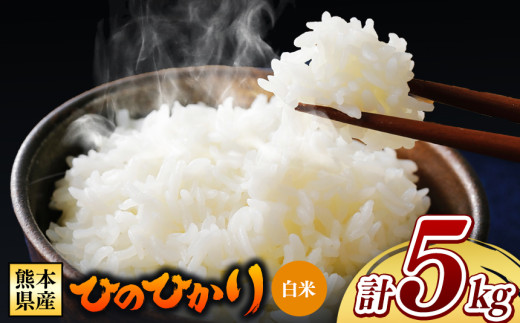 【 令和7年産 】 熊本県産 ひのひかり 白米 5kg | 小分け 5kg × 1袋  熊本県産 特A獲得品種 米 白米 ごはん 銘柄米 ブランド米 単一米 人気 日本遺産 菊池川流域 こめ作り ごはん ふるさと納税 返礼品