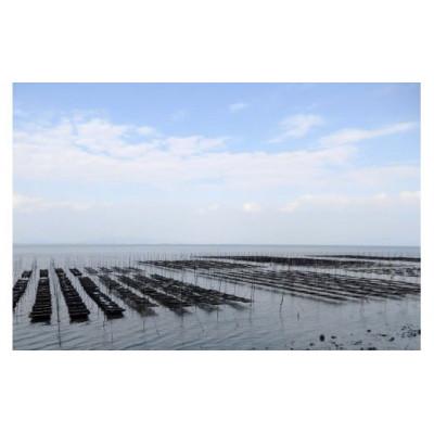 ふるさと納税 島原市 有明海産 【島原のり(味付のり)・潮の舞(塩のり)】8切8枚入 各2袋 DE163 |  | 03