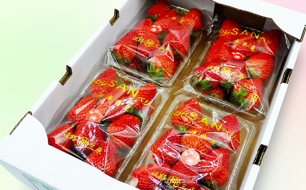 神代さんちの朝採り摘みたていちご　紅ほっぺ