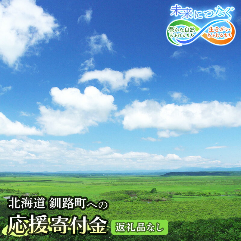 【ふるさと納税】北海道 釧路町 ふるさと 応援寄附金 1,000円 | 返礼品なし / 返礼品ナシ | ＜ご寄附のみとなります ＞ | kushiro town ワンストップ特例制度 オンライン 釧路町 釧路超 特産品