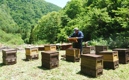 岐阜市産 国産純粋はちみつとはちみつジャムのセット