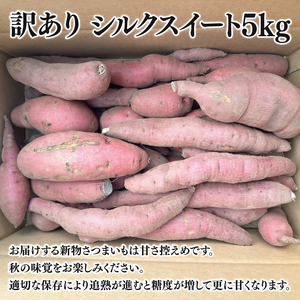 【2025年11月より順次発送】【数量限定】訳アリ 茨城県産シルクスイート 約5kg｜さつまいも 芋 サツマイモ シルクスイート 訳あり わけあり 先行予約 茨城県 取手市（AS009）