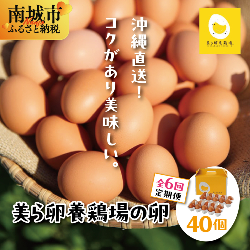 卵の黄身が掴めるほどの新鮮さ 美ら卵養鶏場の卵 40個【6ヶ月定期便】   I  たまご タマゴ  卵 美ら卵 養鶏場 美ら卵 新鮮  養鶏場  定期便   40個   沖縄県 南城市 ふるさと納税 有限会社 美ら卵養鶏場