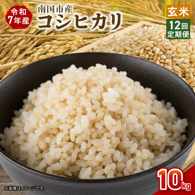 【ふるさと納税】 定期便 12ヶ月 令和7年度 南国市産 コシヒカリ 玄米 10kg 新米 期間限定 数量限定 米 コメ お米 ご飯 おにぎり こめ 弁当 高知県 南国市