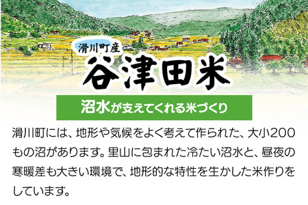 【白米】埼玉県滑川産のお米 「谷津田米」 10kg 令和7年産 埼玉県認証特別栽培