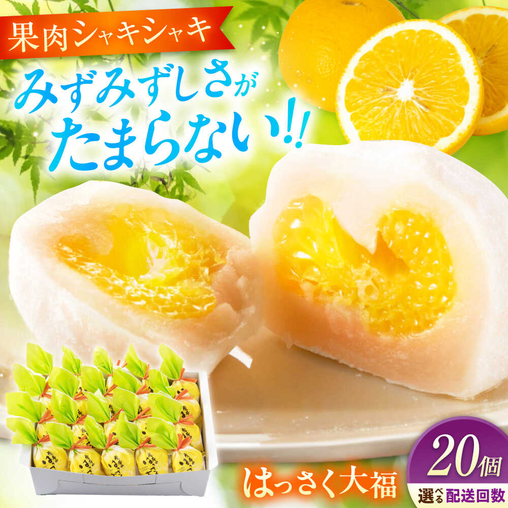 【ふるさと納税】【選べるお届け回数】お菓子 はっさく大福 20個入 お菓子 大福 八朔 柑橘 みかん オレンジ はっさく 餅 ギフト お取り寄せ スイーツ フルーツ大福 ご当地 菓子 おかし デザート 和菓子 詰め合わせ 個包装 手土産 白あん 福山市/株式会社虎屋本舗[BADH029]
