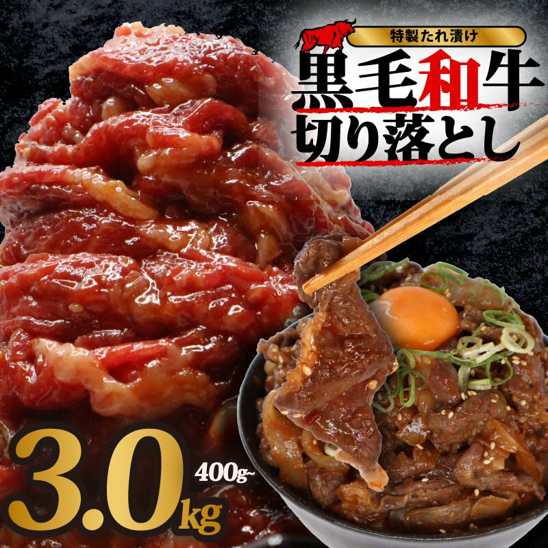 【ふるさと納税】 黒毛和牛 切り落とし 400g~4.8kg 小分け 国産 牛肉 牛 肉 和牛 定期便 大和牛 ブランド牛 冷凍 スライス タレ 特製タレ 漬け 秘伝 たれ 焼き肉 焼肉 牛丼 丼 大容量 BBQ バーベキュー 味付き おすすめ 人気 贈答 ギフト 奈良県 奈良市 近藤精肉店
