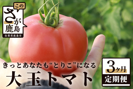  【先行予約】 たにぐちファーム とりこになるトマト【3.5kg以上×3回定期便】【2024年12月から出荷】 Ricotomato トマト C-84