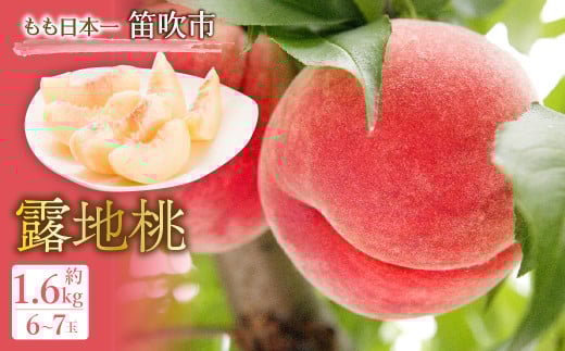 【2026年発送★先行予約】JAふえふき露地桃6-7玉（約1.6kg）010-012-26y