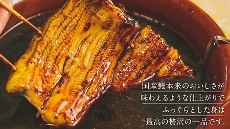 鹿児島県産 きざみ鰻 蒲焼 真空 冷凍パック 500g （50g×10パック）