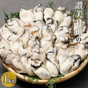 【ふるさと納税】独自ブランド「讃美牡蠣」のこだわり冷凍大粒牡蠣！ | 冷凍 かき 牡蠣 広島県産 魚介 貝 オイスター おすすめ 人気 広島 廿日市市