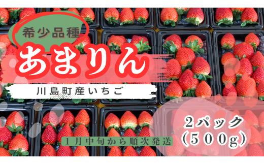 ※先行受付【希少あまりん】朝採れ！いちご　あまりん2パック（500g）どらちゃん農園　人気　あまりん　希少国産 埼玉県 川島町産 完熟いちご 期間限定