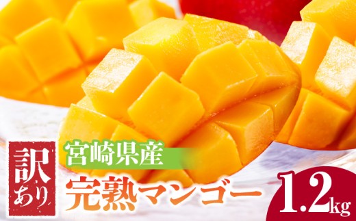 《2026年発送先行予約》【数量・期間限定】宮崎県産 訳あり完熟マンゴー 1.2kg 人気 おすすめ 訳あり 宮崎 宮崎マンゴー 完熟 完熟マンゴー マンゴー 果物 フルーツ くだもの デザート スイーツ 果肉 果汁 甘い 家庭用 自宅用 芳醇 南国フルーツ 南国 特産品 名物 ご当地グルメ グルメ お取り寄せグルメ お取り寄せ スムージー バラつき オススメ 宮崎県 宮崎市_M320-005