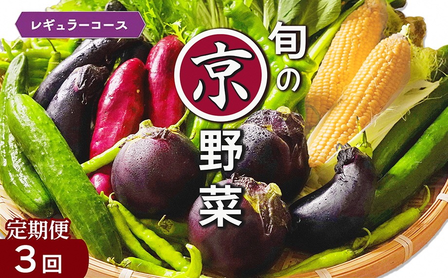 
                  野菜定期便 3回 4~6種類 旬の京野菜 レギュラーコース 詰め合わせ 季節 旬 野菜 やさい 野菜便 国産 国産野菜 新鮮 おまかせ 産地直送 春野菜 夏野菜 秋野菜 冬野菜 葉物 果菜 根菜 カット野菜 京都府産 亀岡市産 京丹波町産 季節の野菜 九条ネギ なす 唐辛子 サラダ トマト 京水菜 壬生菜 スナップエンドウ 聖護院大根 聖護院かぶら 里いも つるむらさき 送料無料 京都府 亀岡市 
                