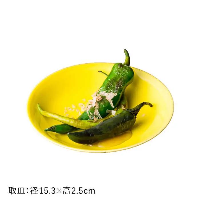 【波佐見焼】黄蘗色（きはだ）色 6型セット 小皿 茶碗 小鉢 大皿  食器 皿 【DRESS】 [SD04] 波佐見焼