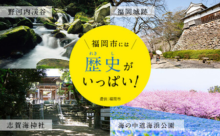 【福岡市】JTBふるさと旅行クーポン（Eメール発行）（3,000円分）