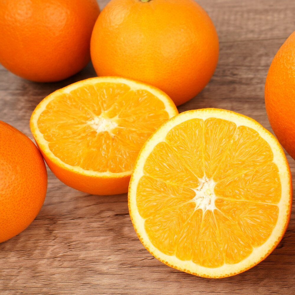 【ふるさと納税】ネーブルオレンジ 約5kg or 約10kg サイズおまかせ アルギット 栽培 国産 甘い おいしい ジューシー 皮 薄い 完熟 期間限定 フルーツ 果物 人気 おすすめ 高級 こだわり ギフト 旬 山崎農園 和歌山