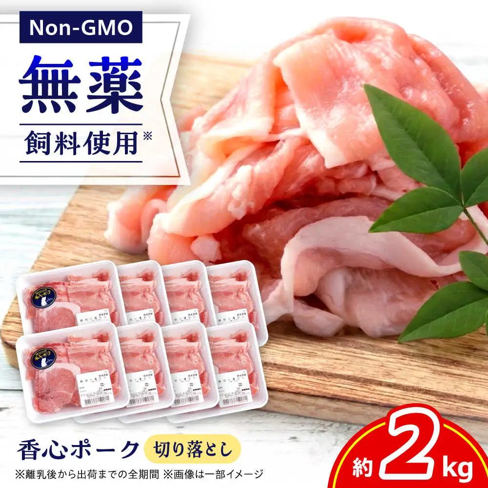『香心ポーク』切り落とし 約250g×8パック 豚肉切り落とし[AYCK016]