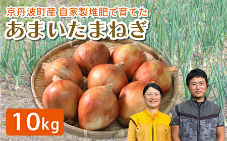 玉ねぎ 10㎏ ( 京都玉ねぎ 京丹波玉ねぎ 玉ねぎ10kg 20000円玉ねぎ )