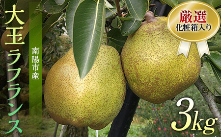 【令和8年産先行予約】 厳選！！大玉ラ・フランス 約3kg (6～8玉 4～6L) 化粧箱入り 《令和8年11月上旬～発送》 『船中農園』 ラフランス 西洋梨 洋なし 果物 フルーツ デザート 山形県 南陽市 [1677]