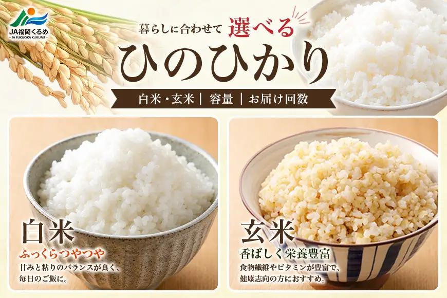【ふるさと納税】ひのひかり 米 お米 玄米 20kg 20キロ 福岡県産 うきは市 国産 精米 ご飯 ごはん おにぎり お弁当 人気 おすすめ 家庭用 送料無料 新米 ストック 厳選 農家直送 大容量